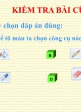 Bài giảng Mỹ thuật lớp 3 - Bài 20 Vẽ tranh theo mẫu